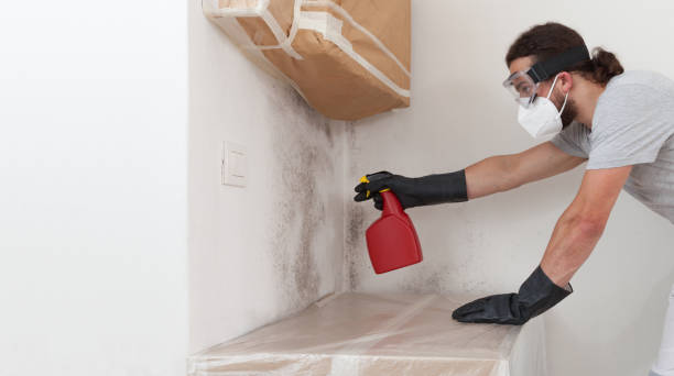 Professional Crawl Space Mold Removal technician working in Westwood, MA