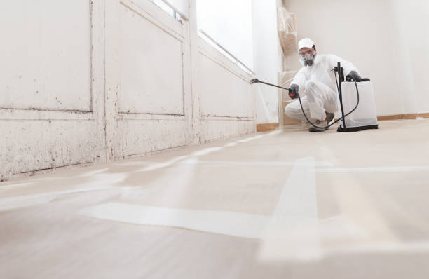 24/7 Emergency Crawl Space Mold Removal experts in Westwood, MA